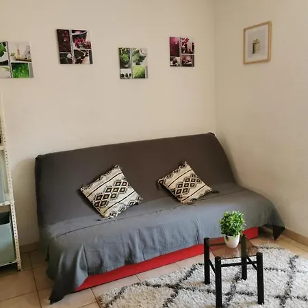 Charming And Bright Studio In Nice Nice